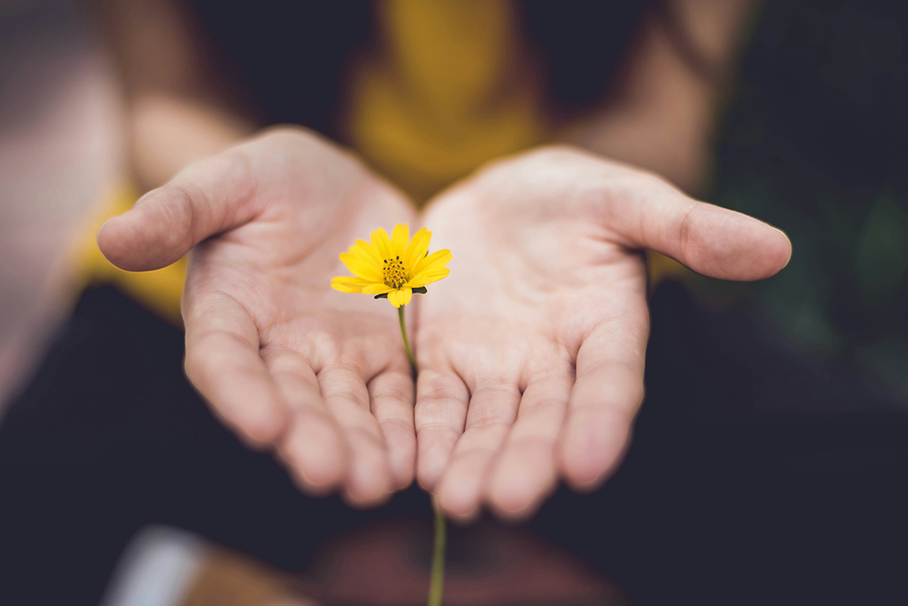 replace-couple-unsplash